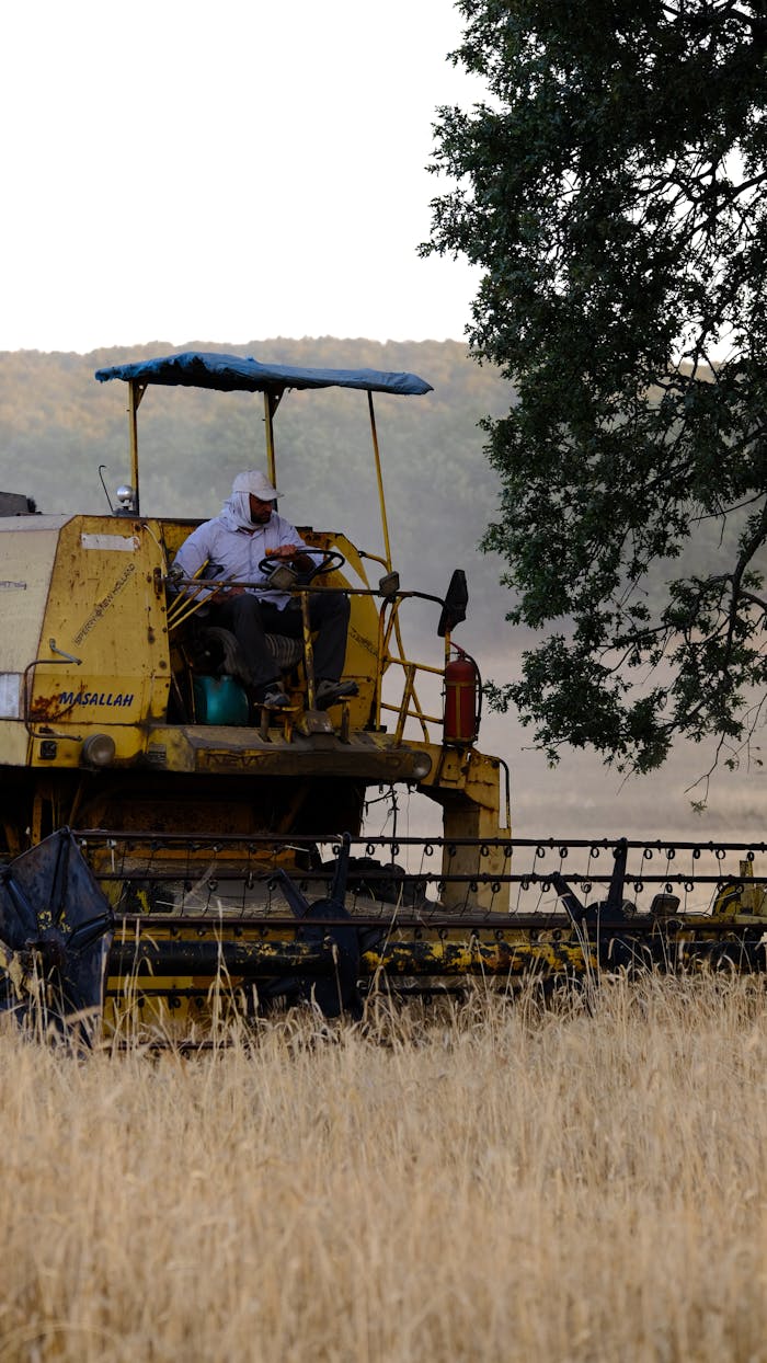 A farmer operates a yellow tractor in a wheat field, showcasing agricultural machinery.